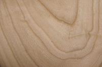 Kirschbaum, europäischer -Furnier (2,4mm) - 0,18m² (8Stk. x 11cm x 21cm)