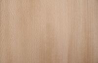 Platane -Furnier (0,6mm) - 0,96m² (30Stk. x 16cm x 20cm)