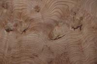 Rüster (Ulme) Halbmaser -Furnier (0,6mm) - 0,2m² (5Stk. x 22cm x 18cm)