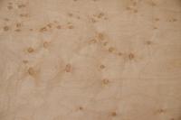 Vogelaugenahorn -Furnier (0,6mm) - 0,39m² (14Stk. x 15cm x 18,5cm)