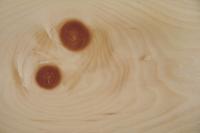 Cembra Pine; Swiss Pine, - veneer (0,9mm) - 2,77m² (16pcs. x 165cm x 10,5cm)