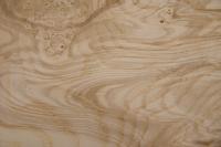 Olive Ash Burl, - veneer (0,6mm) - 2,05m² (8pcs. x 190cm x 13,5cm)
