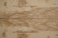 Esche Maser; oliv -Furnier (0,6mm) - 1,03m² (5Stk. x 129cm x 16cm)