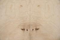 White Ash Burl, - veneer (0,6mm) - 3,85m² (23pcs. x 54cm x 31cm)