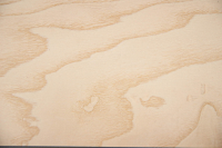 Esche, europäische Furnier mit Farbreferenz-Karte  White Ash, veneer