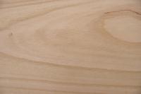 Kirschbaum, europäischer -Furnier (0,6mm) - 0,56m² (26Stk. x 14cm x 15,5cm)