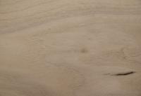 Nussbaum, europäischer -Furnier (0,9mm) - 0,22m² (9Stk. x 19cm x 13cm)