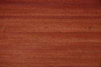 Padouk, - veneer (0,6mm) - 3,9m² (6pcs. x 271cm x 24cm)