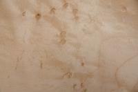 Vogelaugenahorn -Furnier (0,6mm) - 0,25m² (13Stk. x 9cm x 21cm)