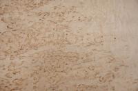 Birke Maser -Furnier (0,6mm) - 0,91m² (16Stk. x 30cm x 19cm)