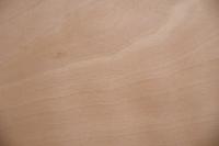 Buche -Furnier (0,6mm) - 3,27m² (22Stk. x 124cm x 12cm)