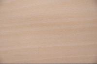 Buche -Furnier (0,6mm) - 1,66m² (24Stk. x 69cm x 10cm)