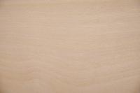 Buche -Furnier (2,4mm) - 0,64m² (8Stk. x 70cm x 11,5cm)