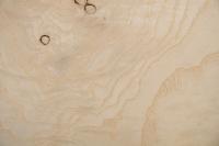White Ash Burl, - veneer (0,6mm) - 2,11m² (21pcs. x 67cm x 15cm)