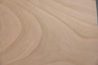 Kirschbaum, europäischer -Furnier (0,6mm) - 0,61m² (28Stk. x 14cm x 15,5cm)