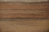 Ovangkol/ Amazakoue -Furnier (0,6mm) - 0,47m² (13Stk. x 19cm x 19cm)