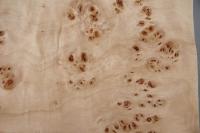 Pappel Maser (Mapa) -Furnier (0,6mm) - 0,86m² (20Stk. x 16cm x 27cm)