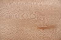 Platane -Furnier (0,6mm) - 2,55m² (16Stk. x 110cm x 14,5cm)