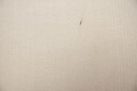 Ahorn, europäischer -Furnier (0,6mm) - 0,39m² (30Stk. x 9cm x 14,5cm)