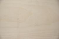 Ahorn, europäischer -Furnier (1,4mm) - 0,65m² (12Stk. x 22cm x 24,5cm)