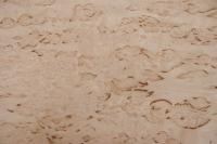 Birke Maser -Furnier (0,6mm) - 1,04m² (12Stk. x 54cm x 16cm)