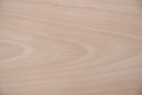 Buche -Furnier (0,6mm) - 3,7m² (22Stk. x 105cm x 16cm)