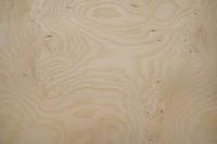 Esche Maser, weiß -Furnier (0,6mm) - 1,73m² (6Stk. x 72cm x 40cm)