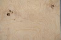 Esche Maser, weiß -Furnier (0,6mm) - 1,03m² (6Stk. x 39cm x 44cm)
