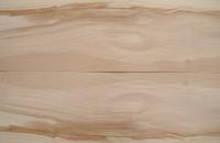 Sycamore with Heart, - veneer (0,6mm) - 9,68m² (32pcs. x 178cm x 17cm)