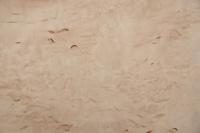 Birke Maser -Furnier (0,6mm) - 0,69m² (12Stk. x 41cm x 14cm)