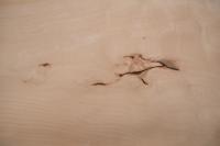 Buche -Furnier (2,4mm) - 4,12m² (8Stk. x 103cm x 50cm)