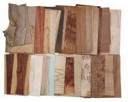 Einzelblätter und Abschnitte