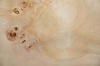 Pappel Maser (Mapa) -Furnier (0,6mm) - 0,58m² (15Stk. x 16cm x 24cm)