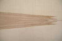 Sycamore with Heart, - veneer (0,6mm) - 3,56m² (26pcs. x 72cm x 19cm)
