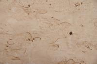 Birke Maser -Furnier (0,6mm) - 0,39m² (6Stk. x 46cm x 14cm)