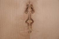 Beech, - veneer (0,6mm) - 0,79m² (22pcs. x 19cm x 19cm)