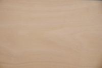 Buche -Furnier (2,4mm) - 0,82m² (5Stk. x 110cm x 15cm)