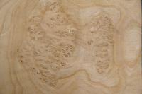 Olive Ash Burl, - veneer (0,6mm) - 1,2m² (5pcs. x 48cm x 50cm)