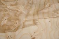 Olive Ash Burl, - veneer (0,6mm) - 0,46m² (8pcs. x 25cm x 23cm)