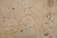 Olive Ash Burl, - veneer (0,6mm) - 0,6m² (10pcs. x 30cm x 20cm)