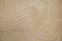White Ash Burl, - veneer (0,6mm) - 2,46m² (15pcs. x 82cm x 20cm)