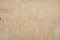 White Ash Burl, - veneer (0,6mm) - 2,06m² (22pcs. x 52cm x 18cm)