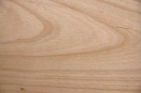European Cherry, - veneer (0,9mm) - 0,34m² (16pcs. x 14cm x 15cm)
