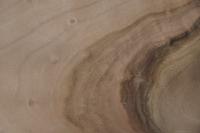 Nussbaum, europäischer -Furnier (0,9mm) - 1,71m² (15Stk. x 69cm x 16,5cm)