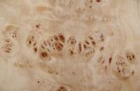 Pappel Maser (Mapa) -Furnier (0,6mm) - 0,42m² (22Stk. x 10cm x 19cm)