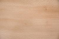 Platane -Furnier (0,6mm) - 1,2m² (29Stk. x 23cm x 18cm)