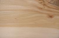 Elm, - veneer (0,6mm) - 2,84m² (24pcs. x 74cm x 16cm)
