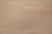 0.6mm Platane Furnier 2.99m² F 9 107 31