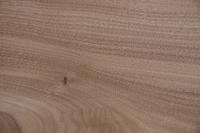 Nussbaum, amerikanischer -Furnier (1,4mm) - 0,51m² (10Stk. x 26cm x 19,5cm)