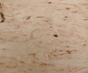 Birke Maser -Furnier (0,6mm) - 0,12m² (19Stk. x 8cm x 8cm)